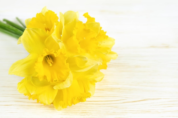 Bouquet of yellow daffodils narcissus on white wooden background with copy space