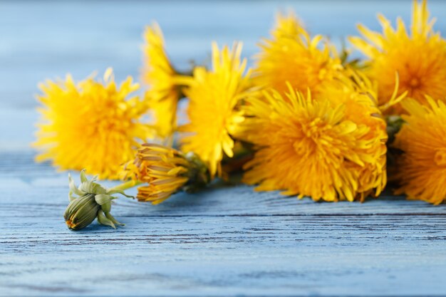 Bouquet of yellow dandelions on a wooden wall.