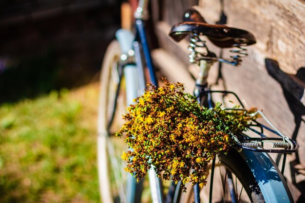 晴れた日に自転車に黄色い花の花束