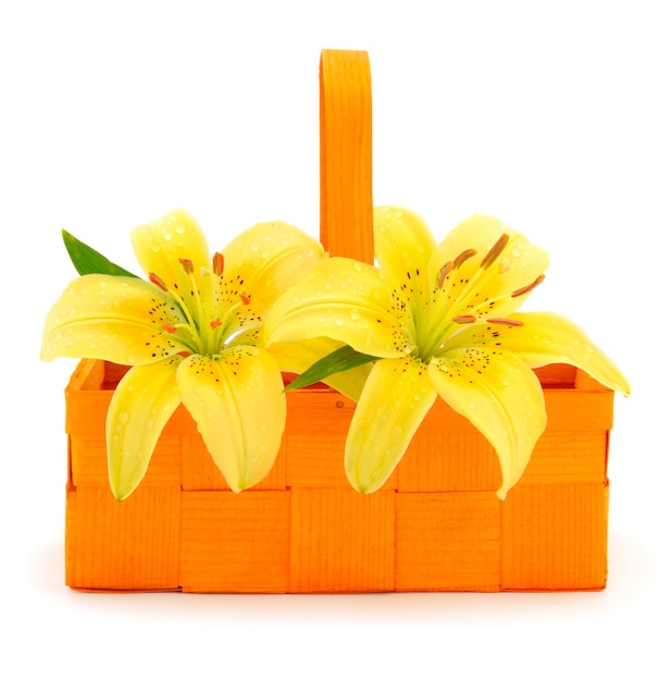 Bouquet of yellow lilies in a gift basket