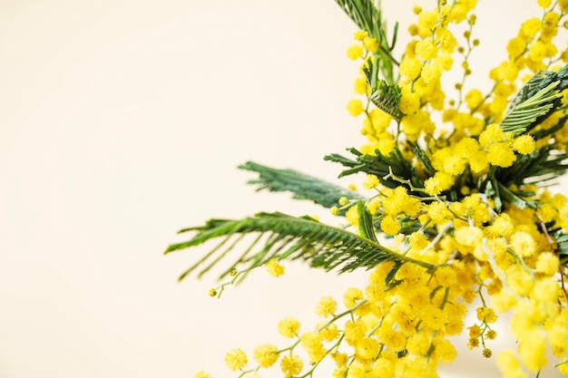 A bouquet of yellow mimosa flowers stands in a vase on a yellow background Concept of 8 March happy womens day