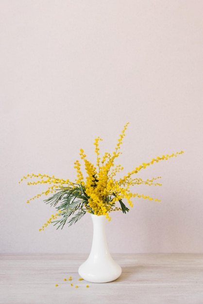 Bouquet of yellow mimosa flowers stands in a white ceramic vase The concept of March 8 Easter