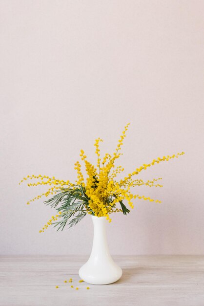 Bouquet Of Yellow Mimosa Flowers Stands In A White Ceramic Vase The Concept Of March 8 Easter