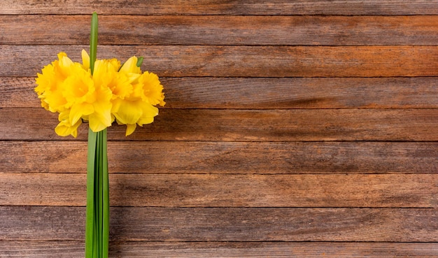 A bouquet of yellow narcissus flowers on a brown wooden background with a copy space