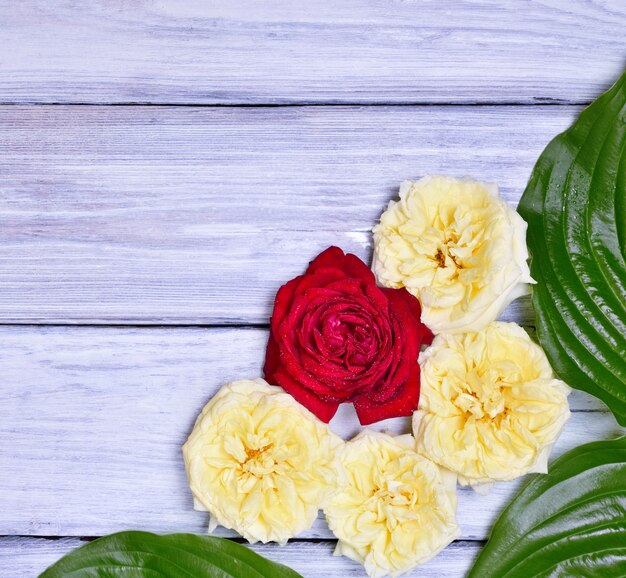 Bouquet of yellow and red roses 