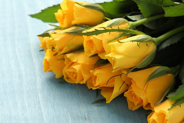 Bouquet of yellow roses on blue background