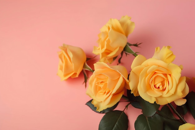 Bouquet of yellow roses on pink background top view