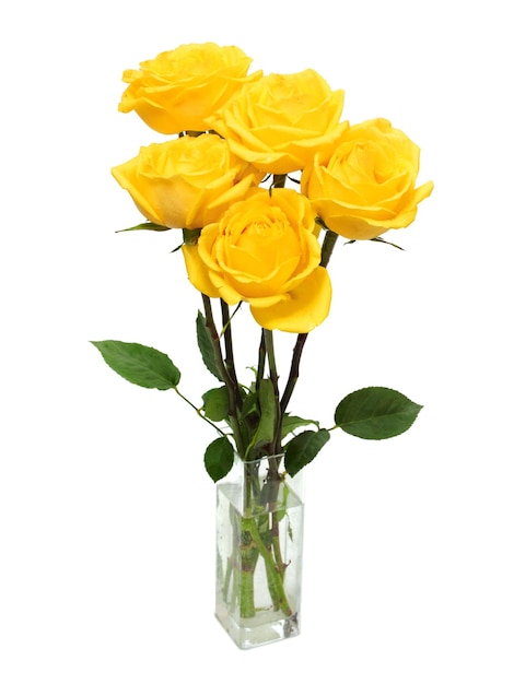 Bouquet of yellow roses