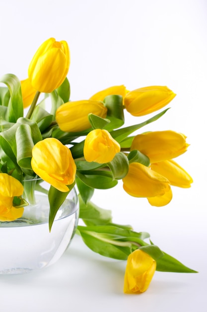 A bouquet of yellow tulip flowers in glass vase on white background. A gift to a woman's day. Copy space.