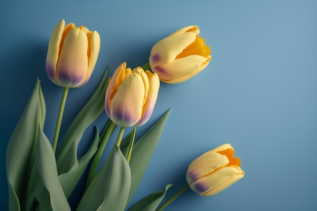 Bouquet of yellow tulips on blue background Mothers day Valentines Day Birthday celebration concept Greeting card Copy space for text top view