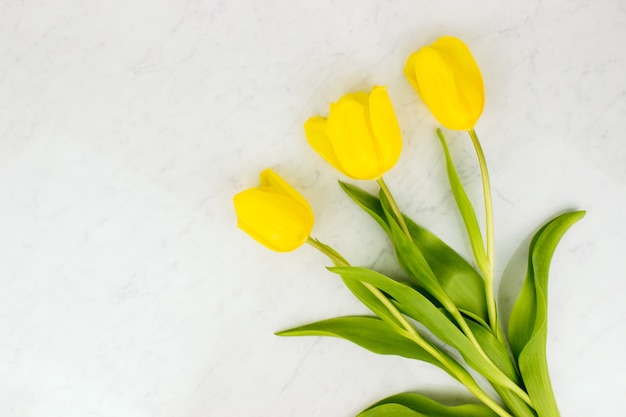 Bouquet of yellow tulips flat lay on marble