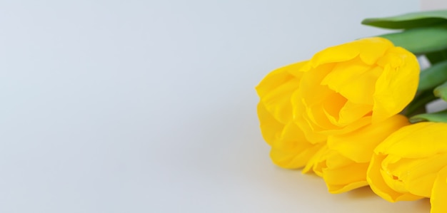 灰色の背景のクローズアップに黄色いチューリップの花束