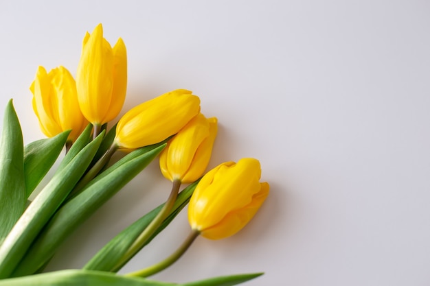 A bouquet of yellow tulips lies in the upper right corner on a white background.Top view. Close up. Copy spase