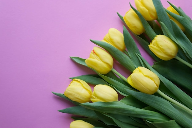 Bouquet of yellow tulips on pink background copy space