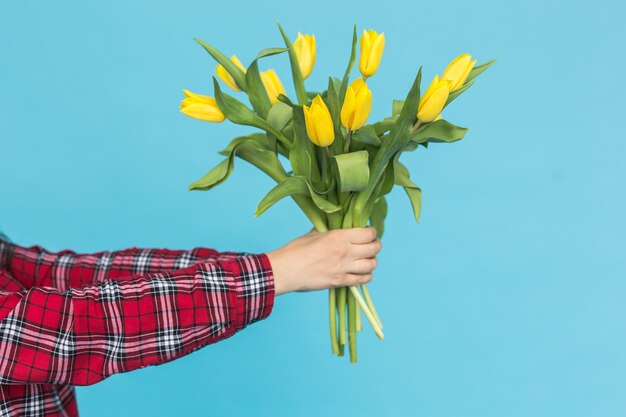 青い背景の上の女性の手に黄色いチューリップの花束。