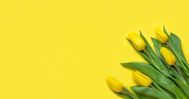 bouquet of yellow tulips on a yellow background copy space