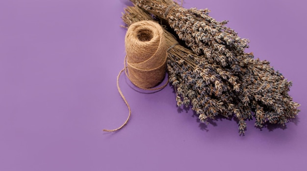 Bouquets of dried lavender on a purple background and a reel with a jute rope with a place for text