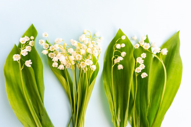 Bouquets of lilies of the valley on blue