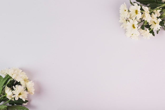 写真 カモミールの花束