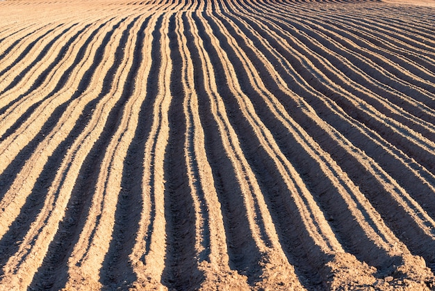 Bouwland, groeven textuur achtergrond. Landbouw, veld op boerderij, bodem, platteland, agronomie.