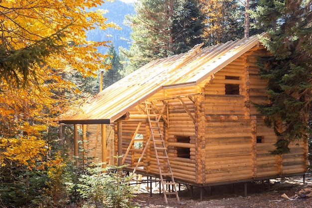 Bouwplaats van houten berghuis Huisje Mooi blokhuis in rustig bos