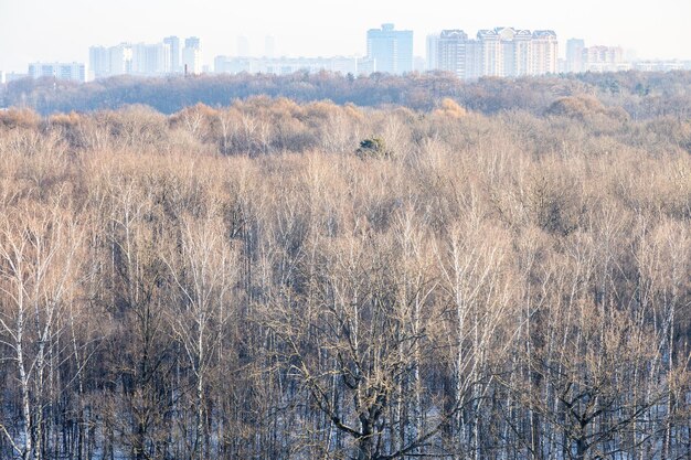 Boven uitzicht op stadspark in koude winterochtend