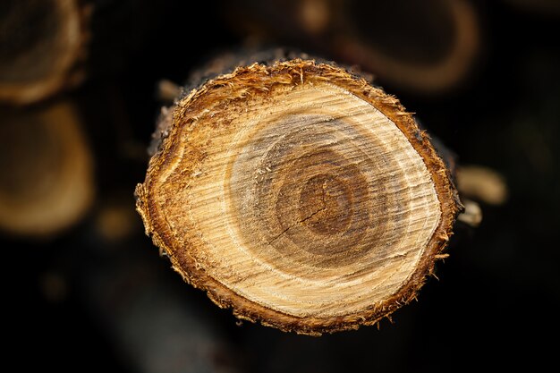 Bovenaanzicht close-up op natuurlijke boomstam gesneden