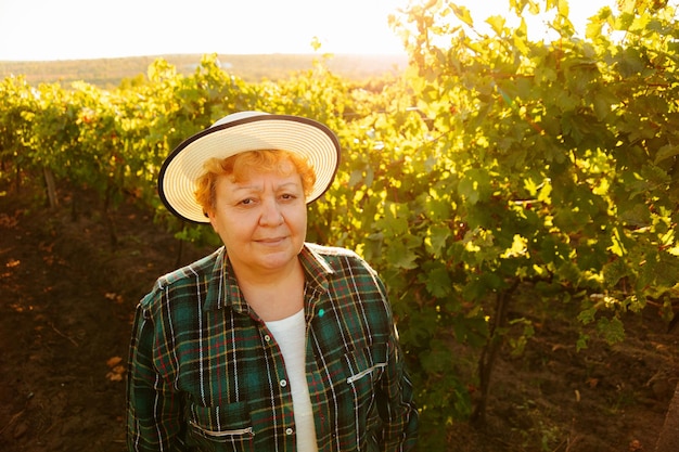Bovenaanzicht dikke vrouw wijnmaker met hoed op hoofd bij zonsondergang kijken naar camera wijngaard met wijnproducent