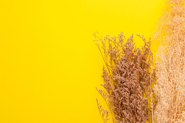 Bovenaanzicht droge kleur gras bloem voor interieurdecoratie.