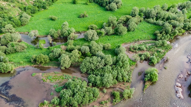 Bovenaanzicht drone shot van een groen bos en rivier