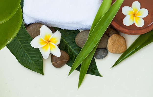 Bovenaanzicht en stenen en twee bloemen voor massagebehandeling op witte achtergrond