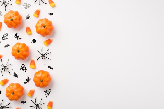 Bovenaanzicht foto van kleine pompoenen candy corn heksen spinnenweb en vleermuizen silhouetten op geïsoleerde witte achtergrond met lege ruimte