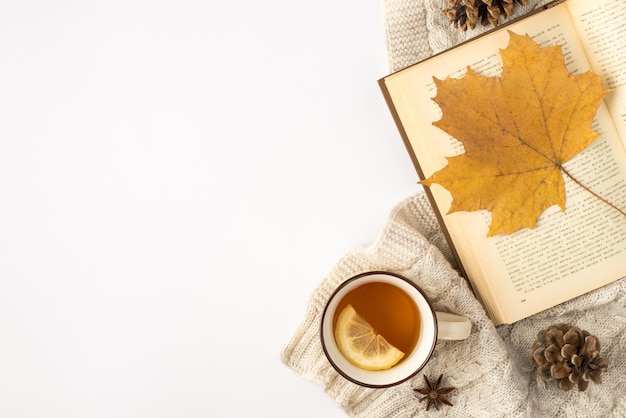 Bovenaanzicht foto van trui kopje thee met citroen anijs dennenappels en gele herfst esdoornblad op open boek op geïsoleerde witte achtergrond met copyspace