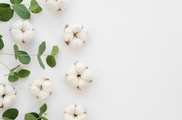 Bovenaanzicht frame met katoenen bloemen en bladeren