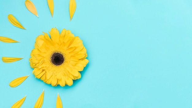 Foto bovenaanzicht gele gerbera met kopie-ruimte