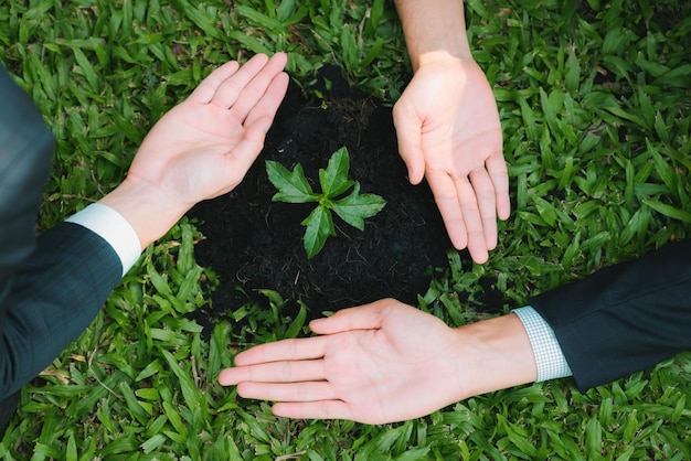 Bovenaanzicht groep zakenmensen groeien en verzorgen de plant samen op bemeste grond concept van eco-bedrijf dat zich inzet voor het maatschappelijk verantwoorde principe van MVO, het verminderen van de CO2-uitstoot Gyre