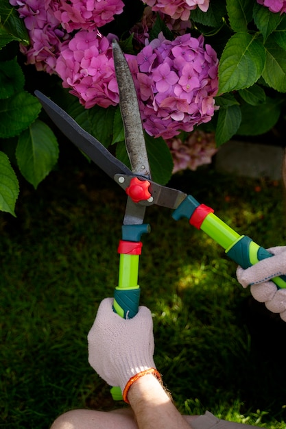 Bovenaanzicht handen met tuinschaar