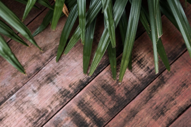 bovenaanzicht houten tafel achtergrond