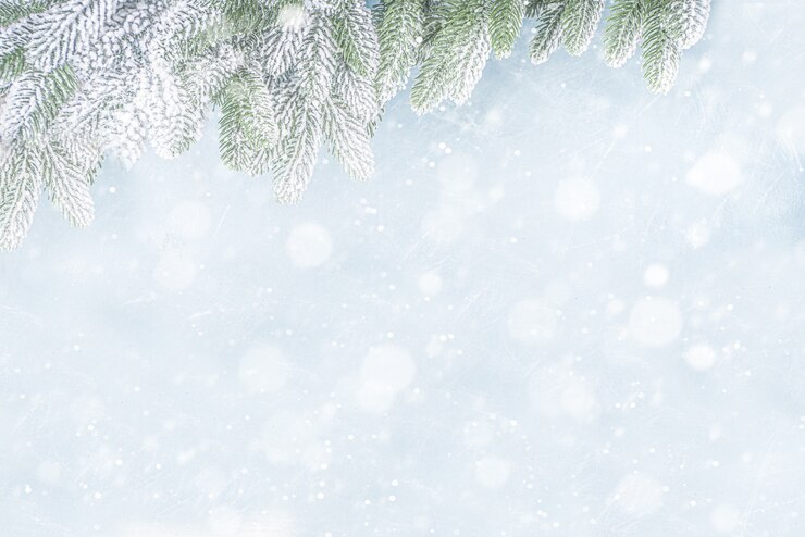 Foto bovenaanzicht kerstboomtakken met sneeuw