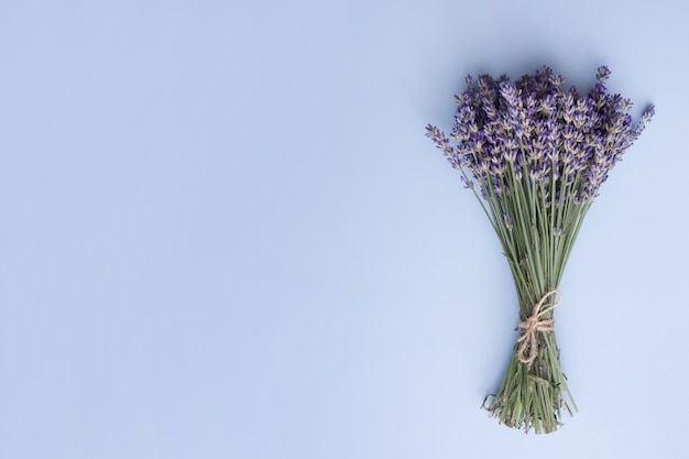 Bovenaanzicht lavendel bloemen in een bos op een blauwe ruimte. Zomer, lente minimaal concept met kopie ruimte