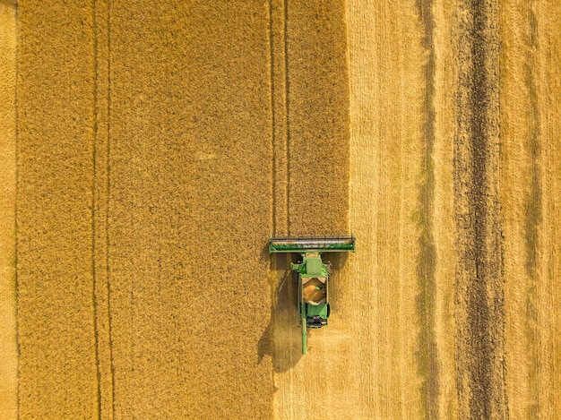 Bovenaanzicht maaidorser verzamelt de tarwe bij zonsondergang Oogstseizoen graanveld