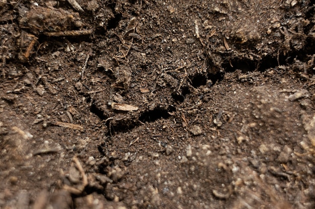 Bovenaanzicht natuurlijke bodem