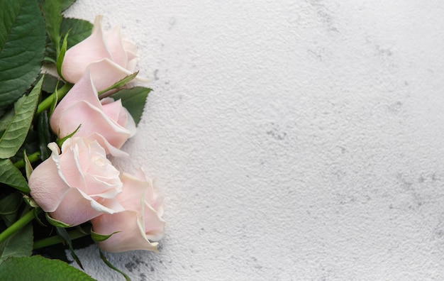 Bovenaanzicht op roze rozen op een grijze betonnen achtergrond