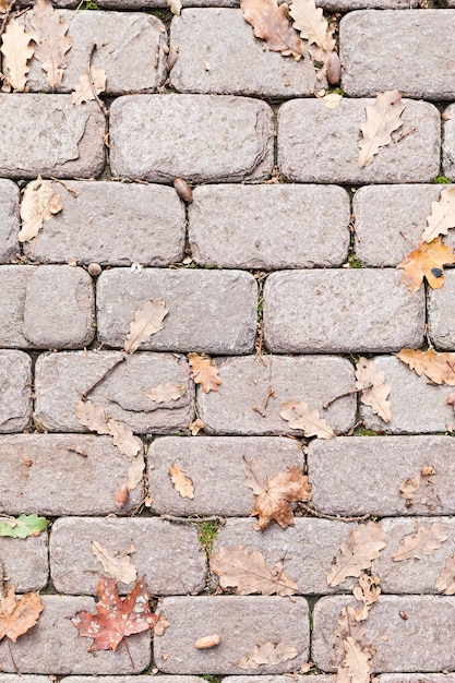 Bovenaanzicht op stoeptegels met droge herfstbladeren