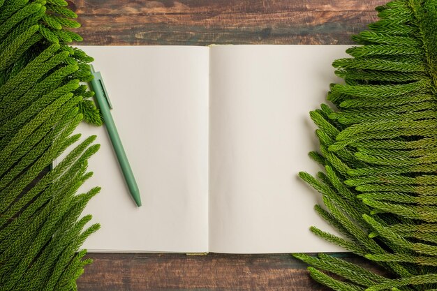 Bovenaanzicht open boek met groene pen en dennenblad op houten tafel achtergrond