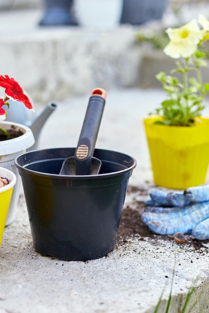 Bovenaanzicht Petunia-bloemen en tuingereedschap op de achtertuin van de zomertuin