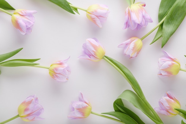 Bovenaanzicht roze tulpen op witte achtergrond