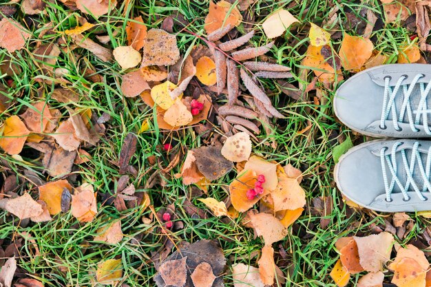 Bovenaanzicht schoenen op herfst bosgrond met vorst en bladeren vallen op grond landschap close-up van