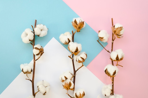 Bovenaanzicht takken met katoenen bloemen