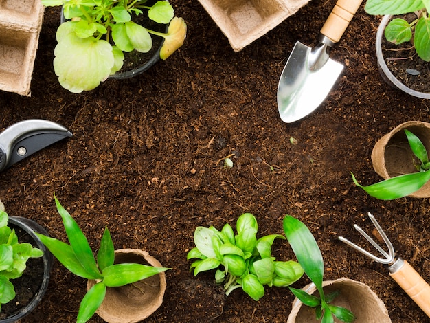 Bovenaanzicht tuingereedschap en planten